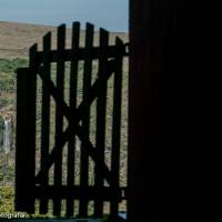 img_9678 copy